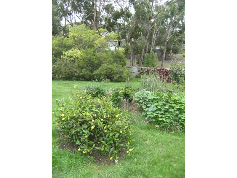 20 Delta Avenue, Taroona TAS 7053