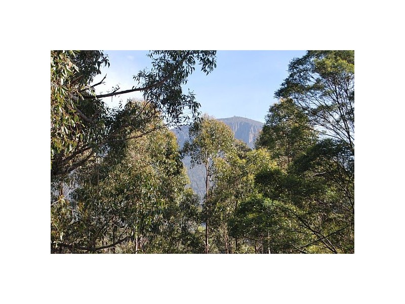 South Hobart TAS 7004