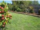 1 Sixth Avenue, West Moonah TAS 7009