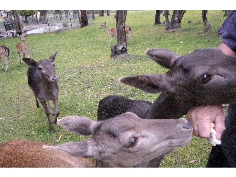 2 Carlile Court, Berriedale TAS 7011