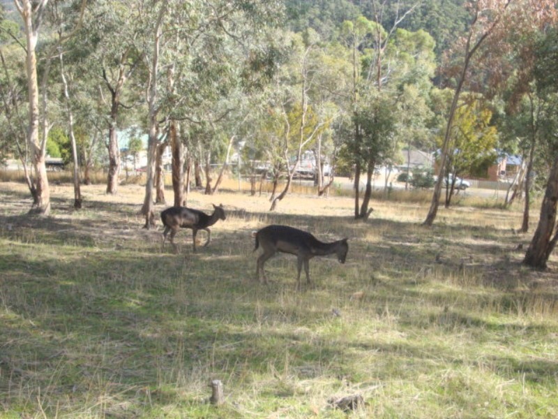 2 Carlile Court, Berriedale TAS 7011