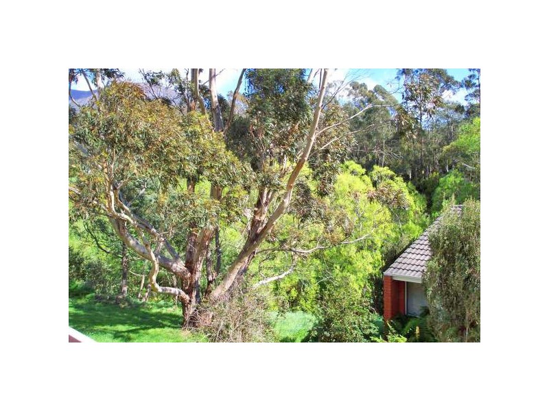 Unit 5/79 Strickland Avenue, South Hobart TAS 7004