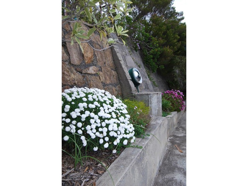 59 Hillborough Road, South Hobart TAS 7004