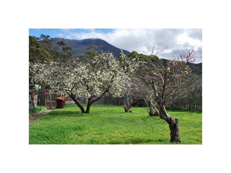 59 Hillborough Road, South Hobart TAS 7004