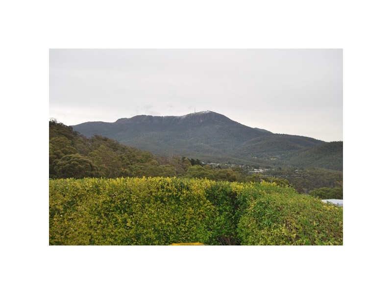 59 Hillborough Road, South Hobart TAS 7004