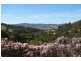 477 Huon Road, South Hobart TAS 7004