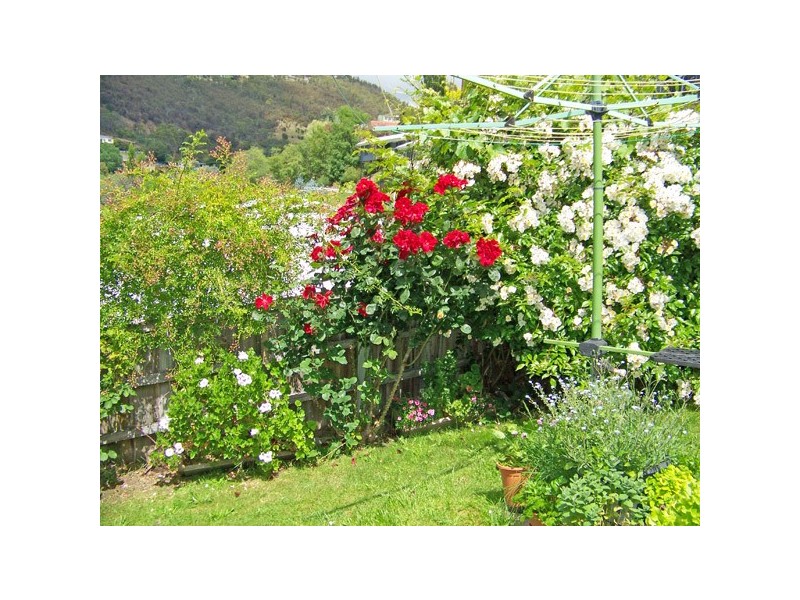 1/5 Lynton Avenue, South Hobart TAS 7004