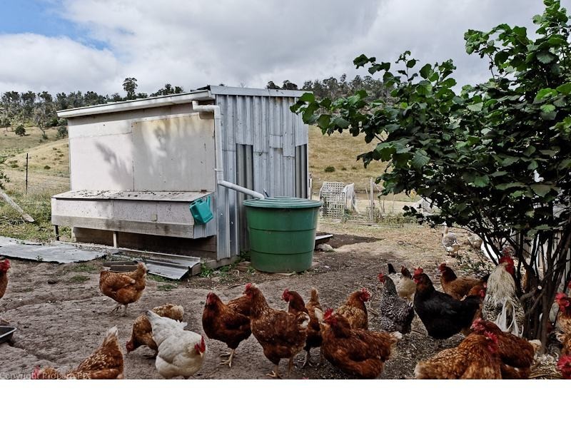 583 Green Valley Road, Bagdad TAS 7030