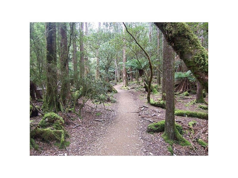 00 Waterfall Cafe and Camping Ground, Mount Field TAS 7140