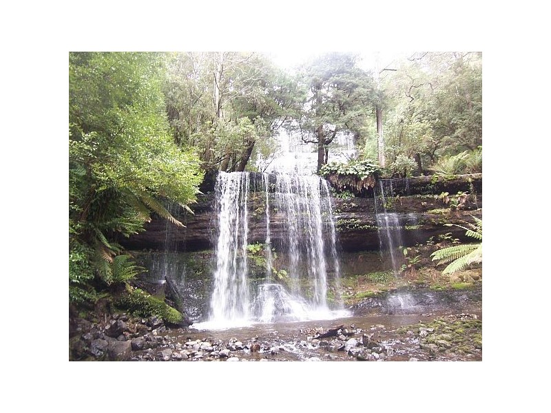 00 Waterfall Cafe and Camping Ground, Mount Field TAS 7140