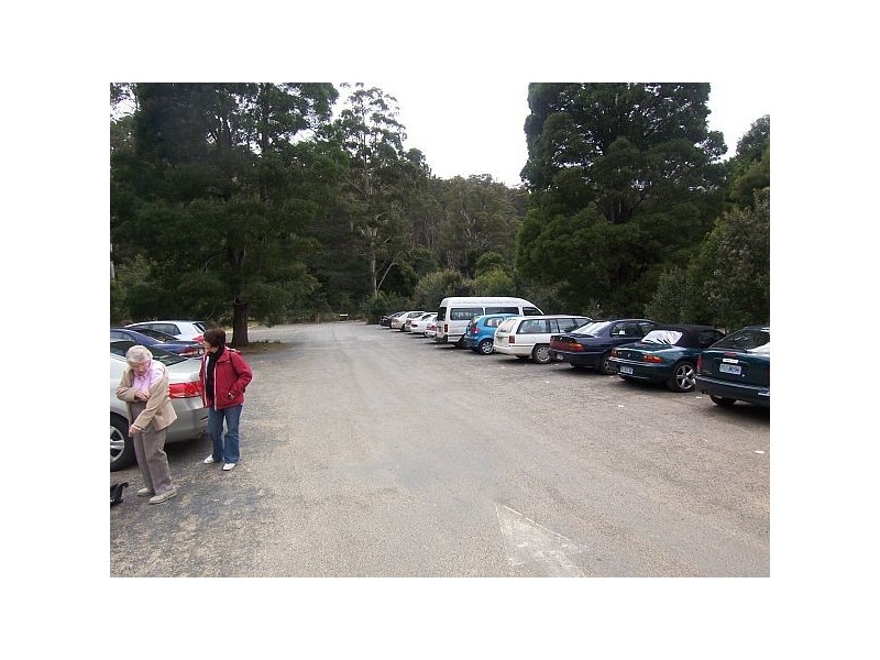 00 Waterfall Cafe and Camping Ground, Mount Field TAS 7140