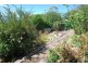 239 Nelson Road, Mount Nelson TAS 7007