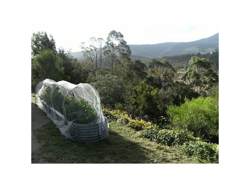 108 Wyre Forest Road, Molesworth TAS 7140