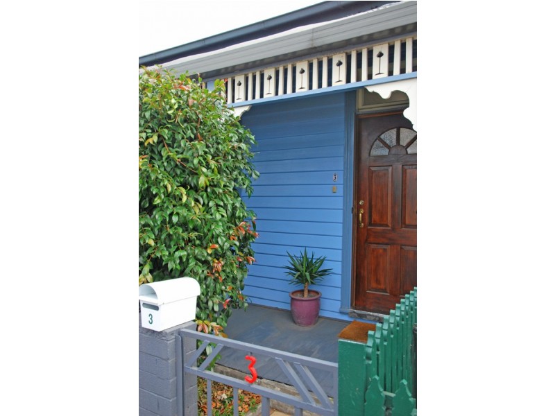 3 Feltham Street, North Hobart TAS 7000