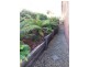 1  Taylor Court, Rosetta TAS 7010