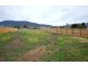 48A Albion Road, Bridgewater TAS 7030
