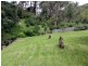 38 Romilly Street, South Hobart TAS 7004