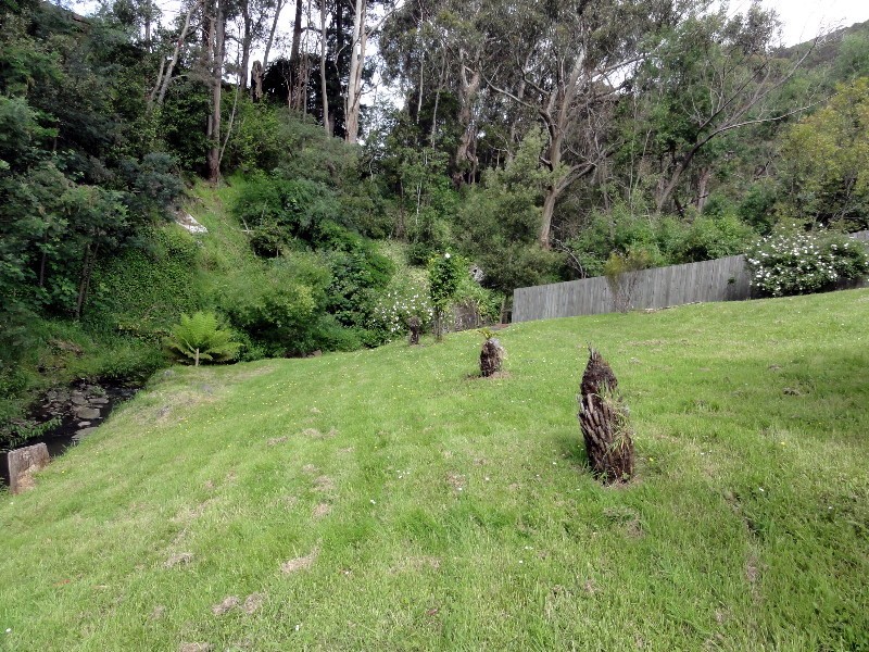 38 Romilly Street, South Hobart TAS 7004