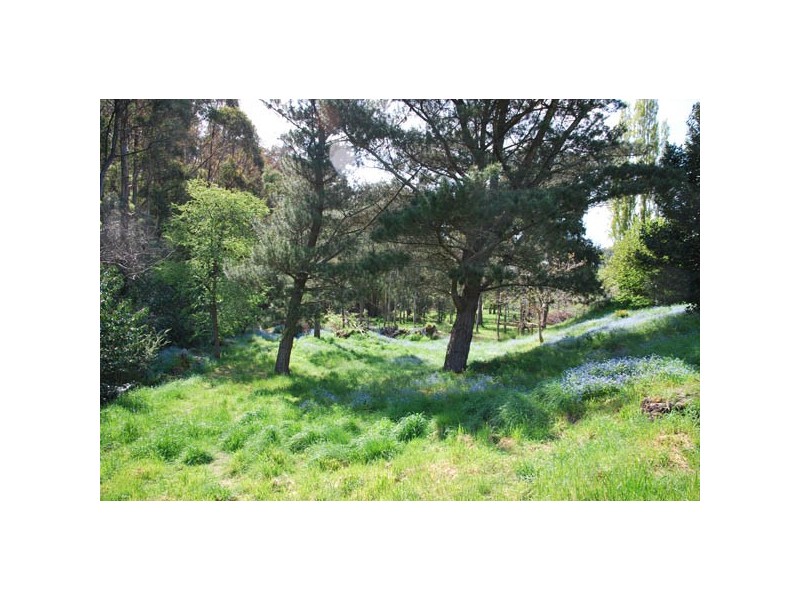 2/67A Strickland Avenue, South Hobart TAS 7004