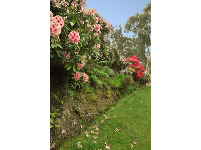 542 Huon Road, South Hobart TAS 7004