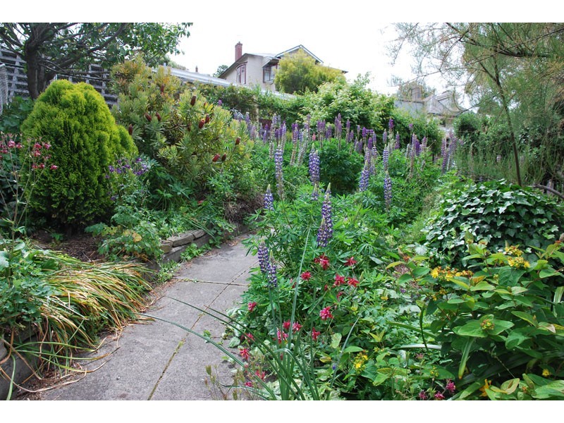 408 Liverpool Street, West Hobart TAS 7000