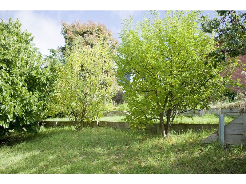 408 Liverpool Street, West Hobart TAS 7000