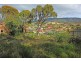 299 Main Road, Austins Ferry TAS 7011