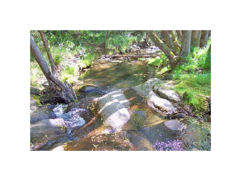 Unit 5, 79 Strickland Avenue, South Hobart TAS 7004