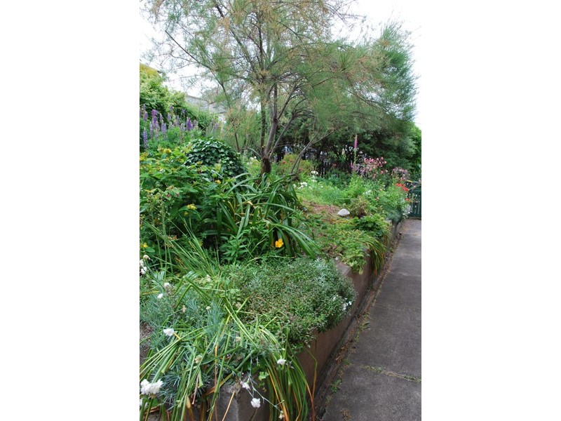 408 Liverpool Street, West Hobart TAS 7000