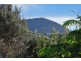 34 Macfarlane Street, South Hobart TAS 7004