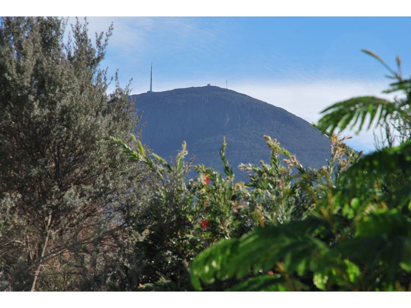 34 Macfarlane Street, South Hobart TAS 7004