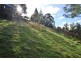 424 Strickland Avenue, South Hobart TAS 7004