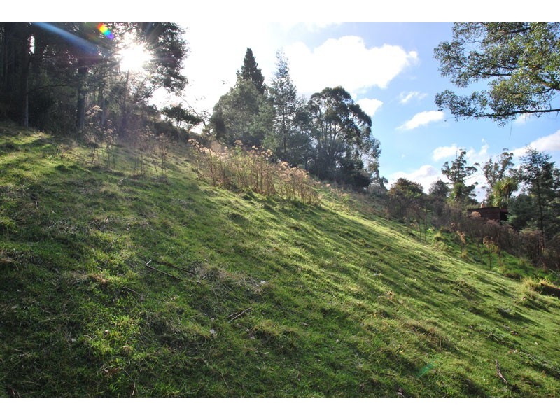 424 Strickland Avenue, South Hobart TAS 7004