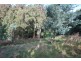 424 Strickland Avenue, South Hobart TAS 7004