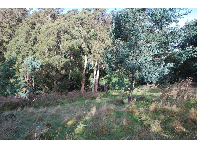 424 Strickland Avenue, South Hobart TAS 7004