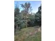 424 Strickland Avenue, South Hobart TAS 7004