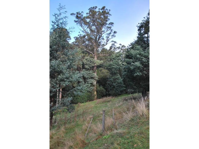 424 Strickland Avenue, South Hobart TAS 7004
