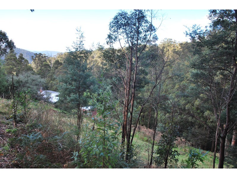 424 Strickland Avenue, South Hobart TAS 7004
