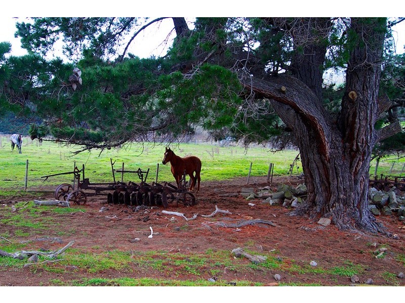 4981 Lyell Highway ‘Greenwich’, Hamilton TAS 7140