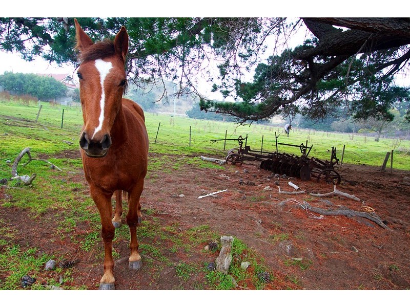 4981 Lyell Highway ‘Greenwich’, Hamilton TAS 7140