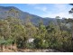 4a Grayling Avenue, South Hobart TAS 7004