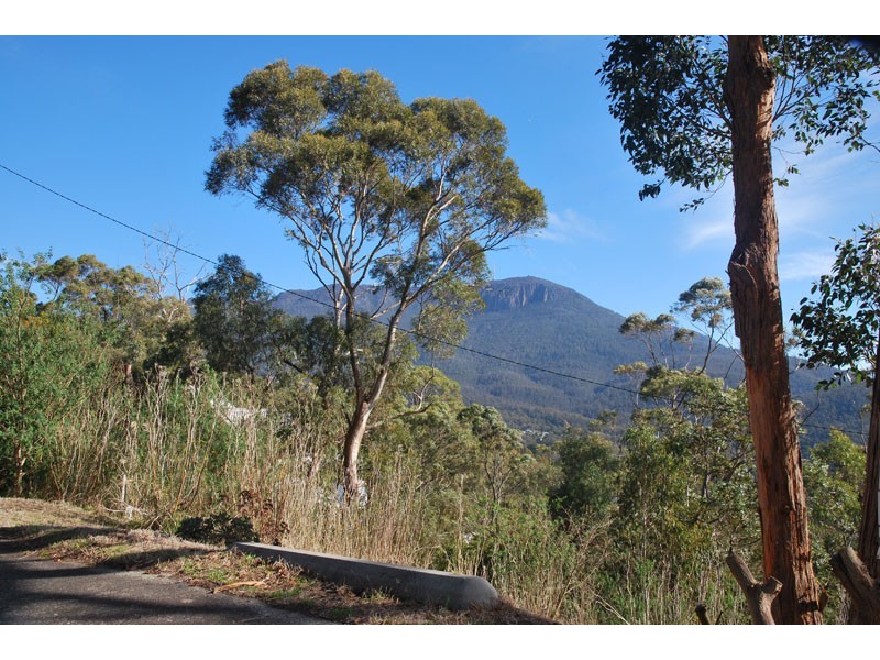 4a Grayling Avenue, South Hobart TAS 7004