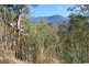 4a Grayling Avenue, South Hobart TAS 7004