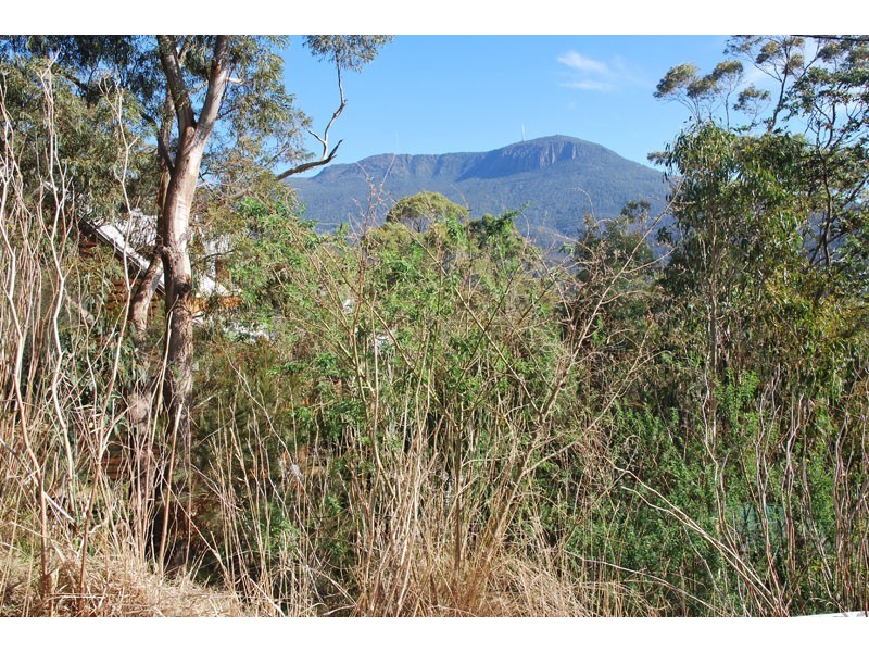 4a Grayling Avenue, South Hobart TAS 7004