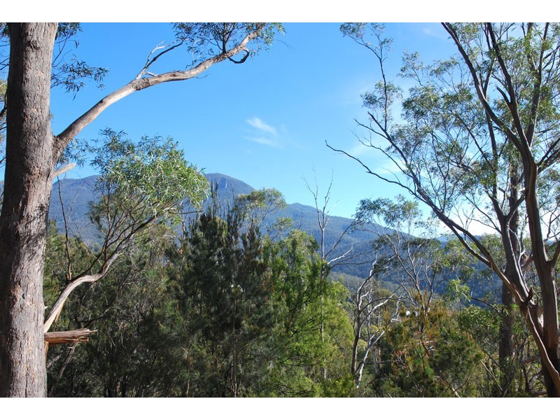 4a Grayling Avenue, South Hobart TAS 7004