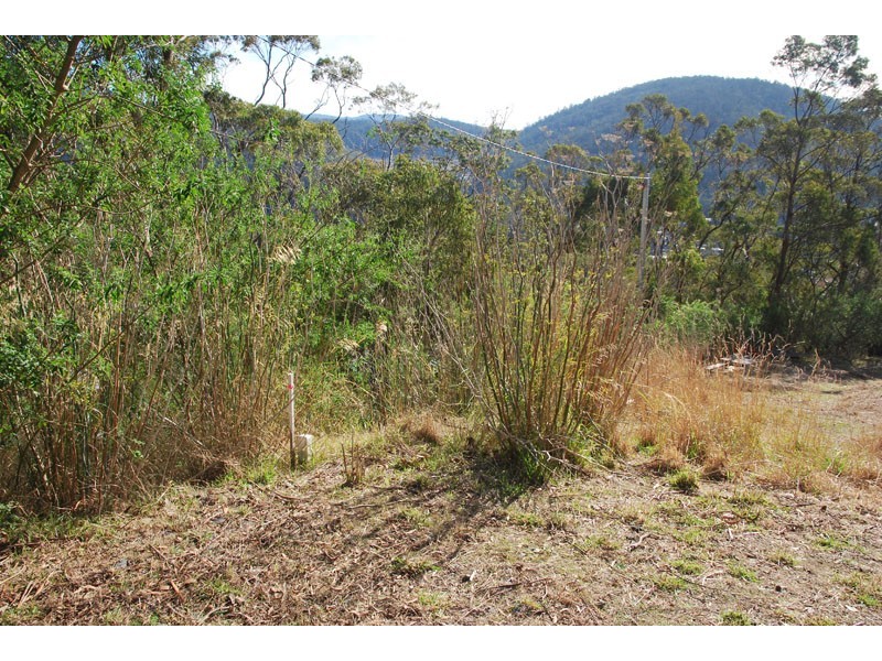 4a Grayling Avenue, South Hobart TAS 7004