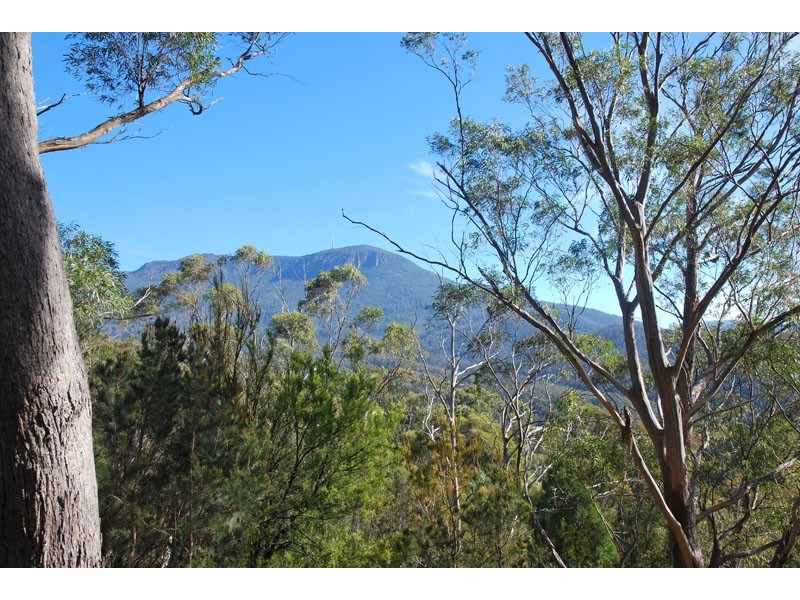4a Grayling Avenue, South Hobart TAS 7004