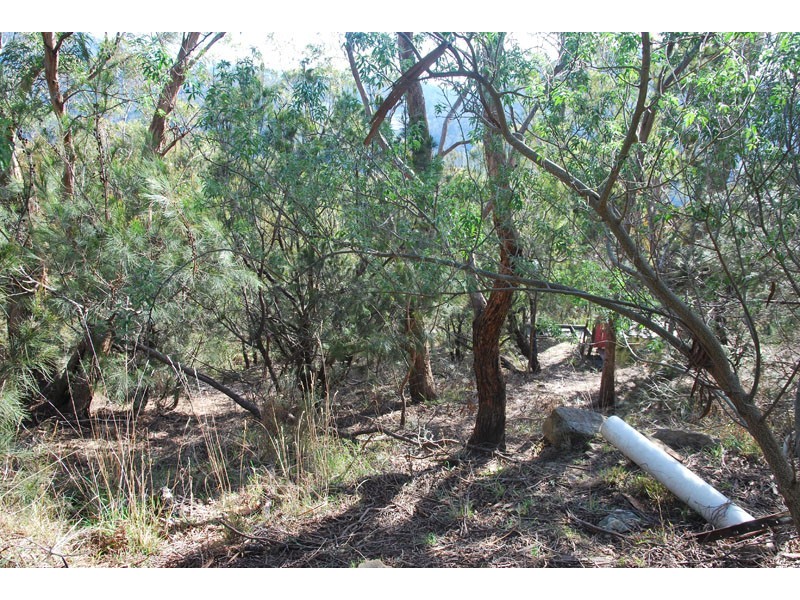 4a Grayling Avenue, South Hobart TAS 7004