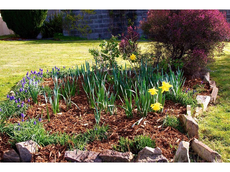 2 Kinarra Crescent, Chigwell TAS 7011