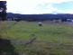 Coles Bay TAS 7215